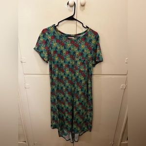 LulaRoe Carly Dress, Green Floral